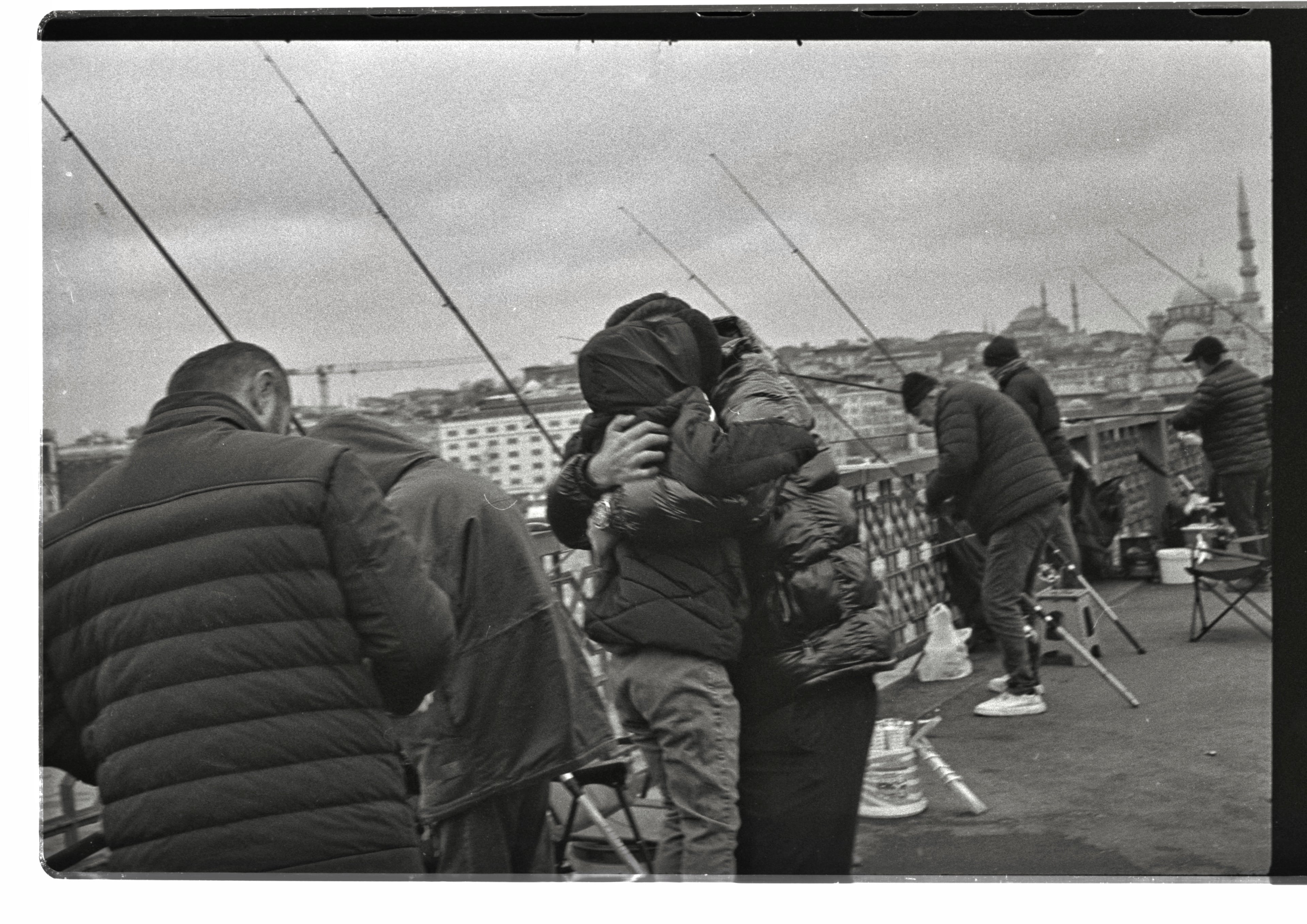 Peplord homepage desktop