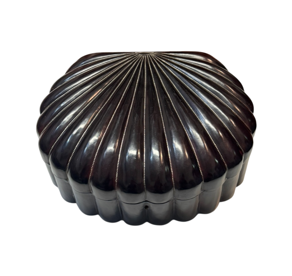 The shell