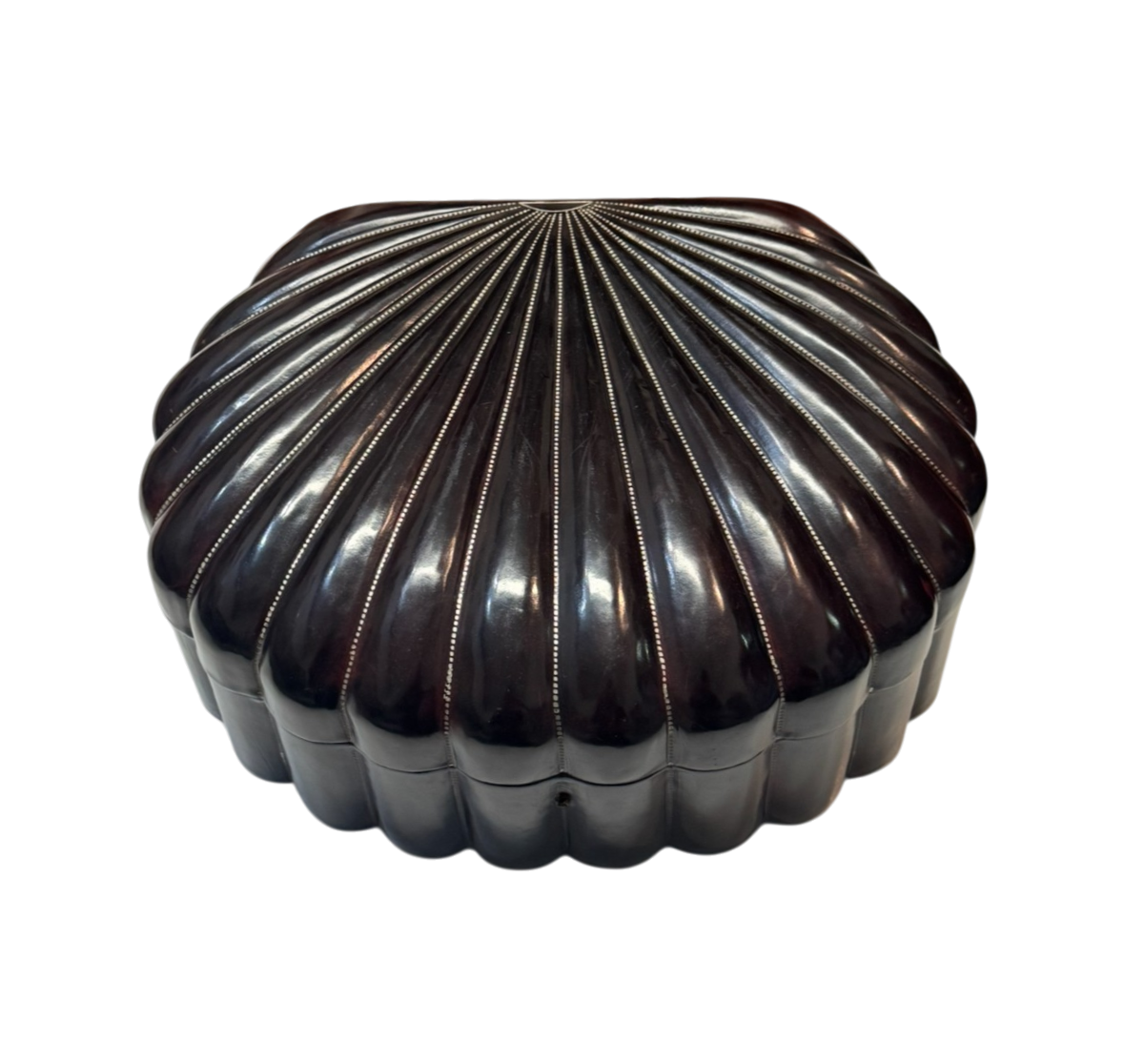 The shell